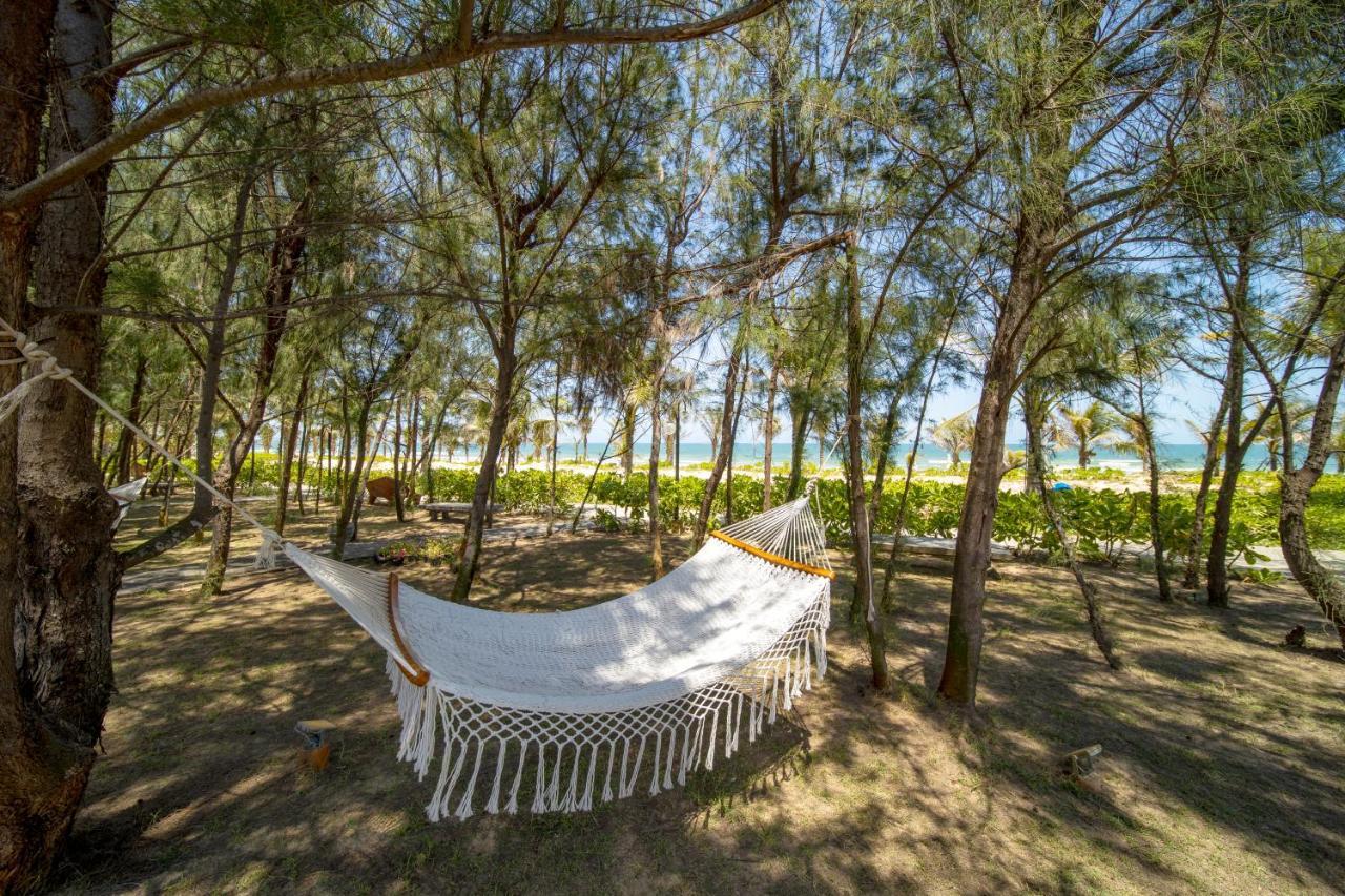 Sao Mai Beach Resort 绥和市 外观 照片